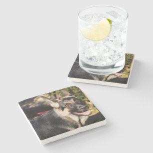 German Shepherd by Shirley Taylor Stone Coaster