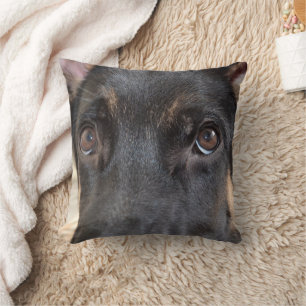 German Shepherd by Shirley Taylor Throw Pillow