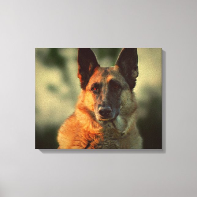 German Shepherd Canvas Print (Front)