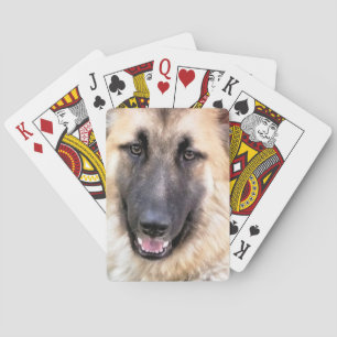 GERMAN SHEPHERD Card