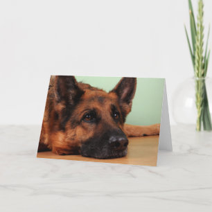 German shepherd card