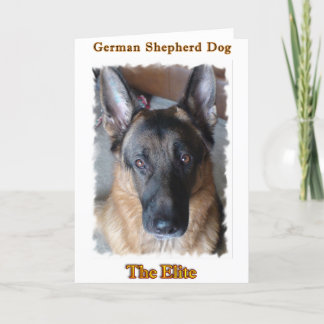 German Shepherd Card