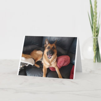 German Shepherd Card