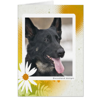 German Shepherd Card