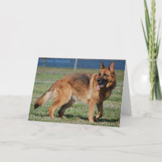 German Shepherd Card
