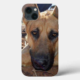 German Shepherd Cat Naps, iPhone 13 Case
