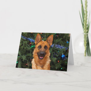 German Shepherd Christmas Card