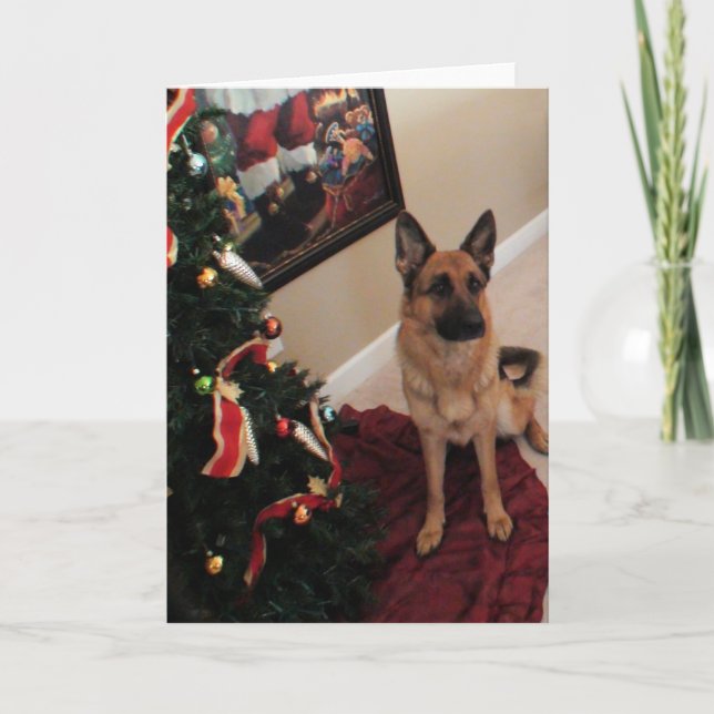 German Shepherd Christmas Card (Front)