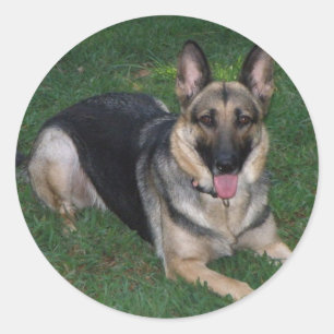 German Shepherd Classic Round Sticker