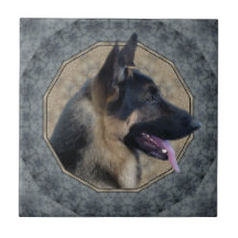 German Shepherd Classical
