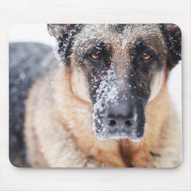 German Shepherd Closeup Covered In Snow Mouse Pad (Front)