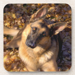 German Shepherd Coaster Set