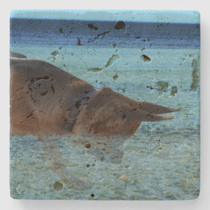 German Shepherd Crabbing Adventure,  Stone Coaster