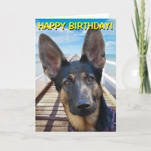 German Shepherd customizable greetings card