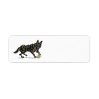 German Shepherd Dax