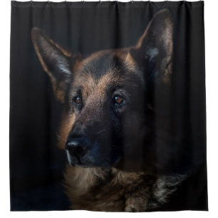 German shepherd dog
