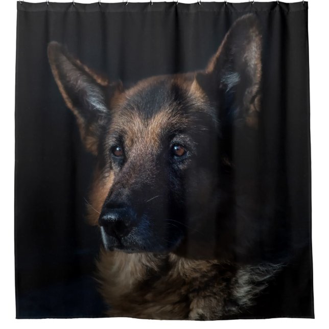 German shepherd dog (Front)