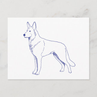 German Shepherd Dog breed Postcard