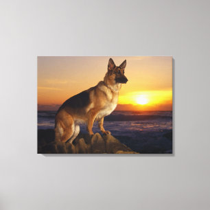 German shepherd dog canvas print