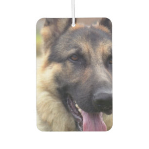 German Shepherd Dog Car Air Freshener