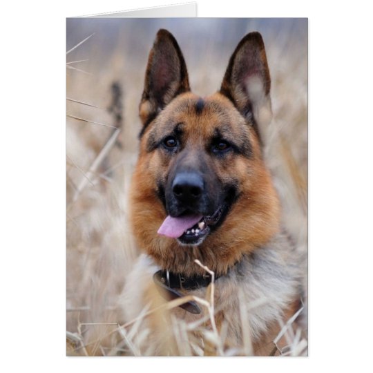 German Shepherd Dog Card