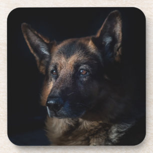 German shepherd dog coaster