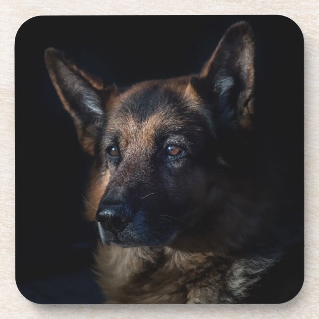 German shepherd dog coaster (Front)