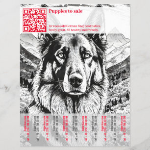 German Shepherd Dog Flyer 