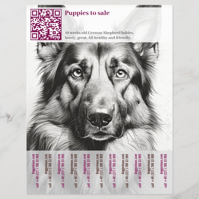 German Shepherd Dog Flyer  (Front)