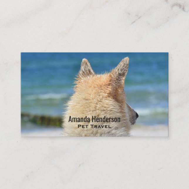 German Shepherd Dog Looks Out Towards The Beach Business Card (Front)