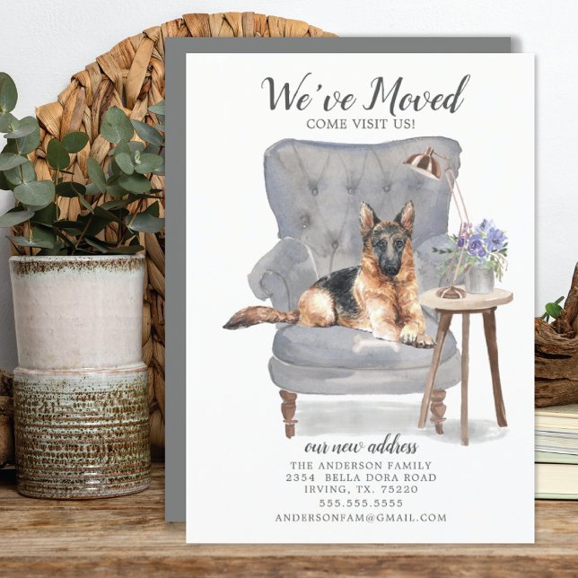 German Shepherd Dog | Moving Announcement (Creator Uploaded)