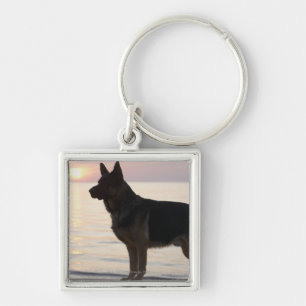 German Shepherd dog on Georgian Bay, Ontario, Keychain