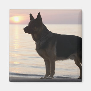German Shepherd dog on Georgian Bay, Ontario, Magnet