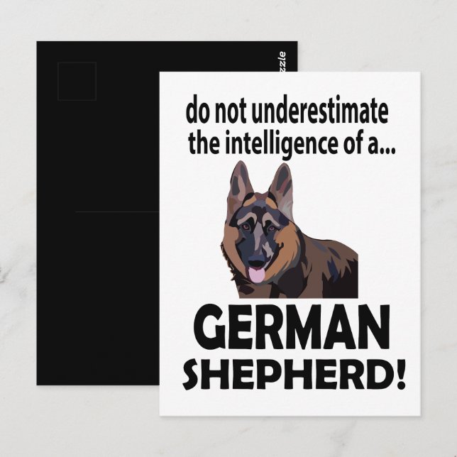 German Shepherd Dog Pet German Shepherd Postcard (Front/Back)