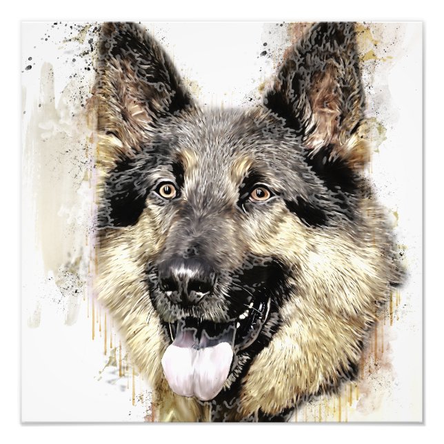 German Shepherd Dog photo Enlargement (Front)