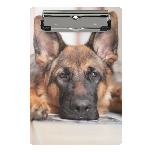 German Shepherd / Dog Photo Mini Clipboard (Front)