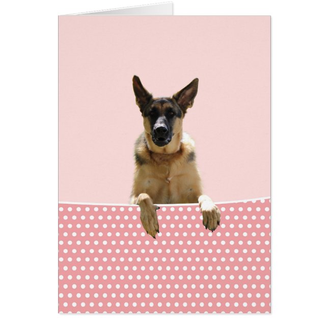 German Shepherd Dog Pink Polka Dots (Front)
