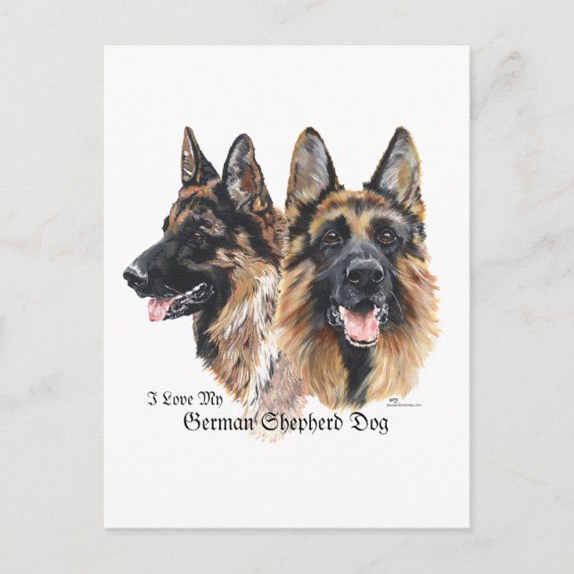 German Shepherd Dog Postcard (Front)