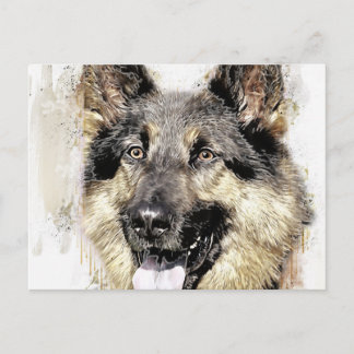 German Shepherd Dog Postcard