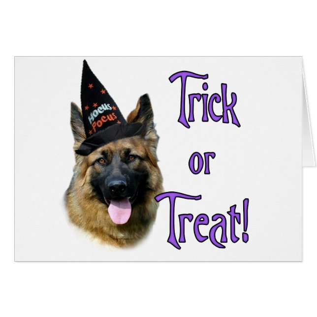 German Shepherd Dog (sable) Trick (Front Horizontal)