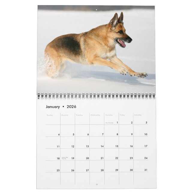 German Shepherd Dog wall calendar (Jan 2026)