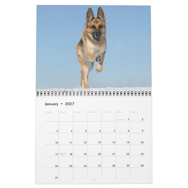 German Shepherd Dog wall calendar (Jan 2027)