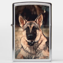 German Shepherd Dog Zippo Pocket Lighter