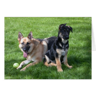 German Shepherd Dogs - Blank inside