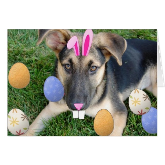 German Shepherd Easter Puppy (Front Horizontal)