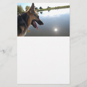 German Shepherd/Enjoying the View Stationery