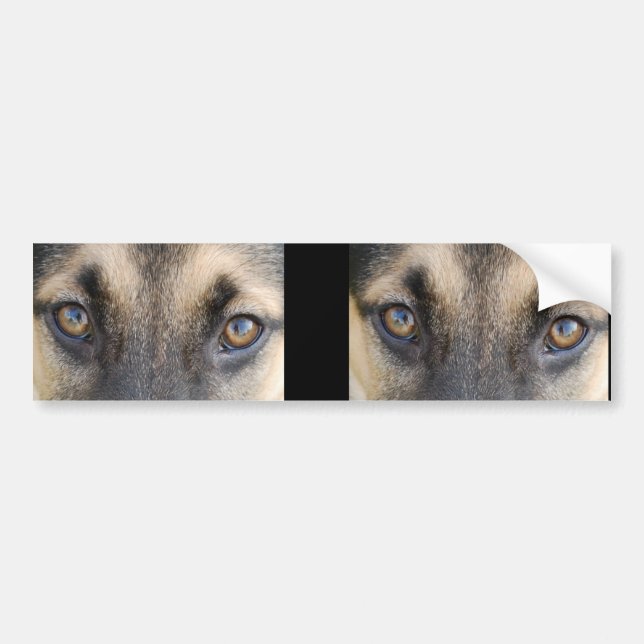 German Shepherd Eyes Bumper Sticker (Front)