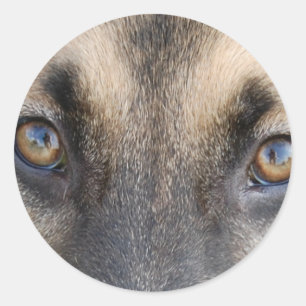 German Shepherd Eyes Classic Round Sticker