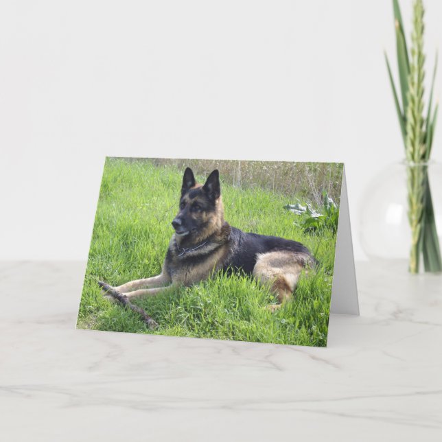 German Shepherd Fathers Day Card (Front)