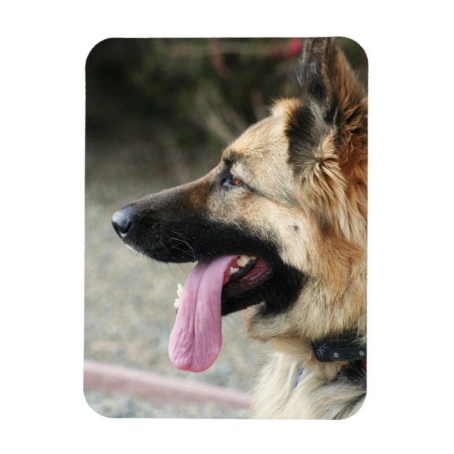 German Shepherd flexible photo magnet (Vertical)